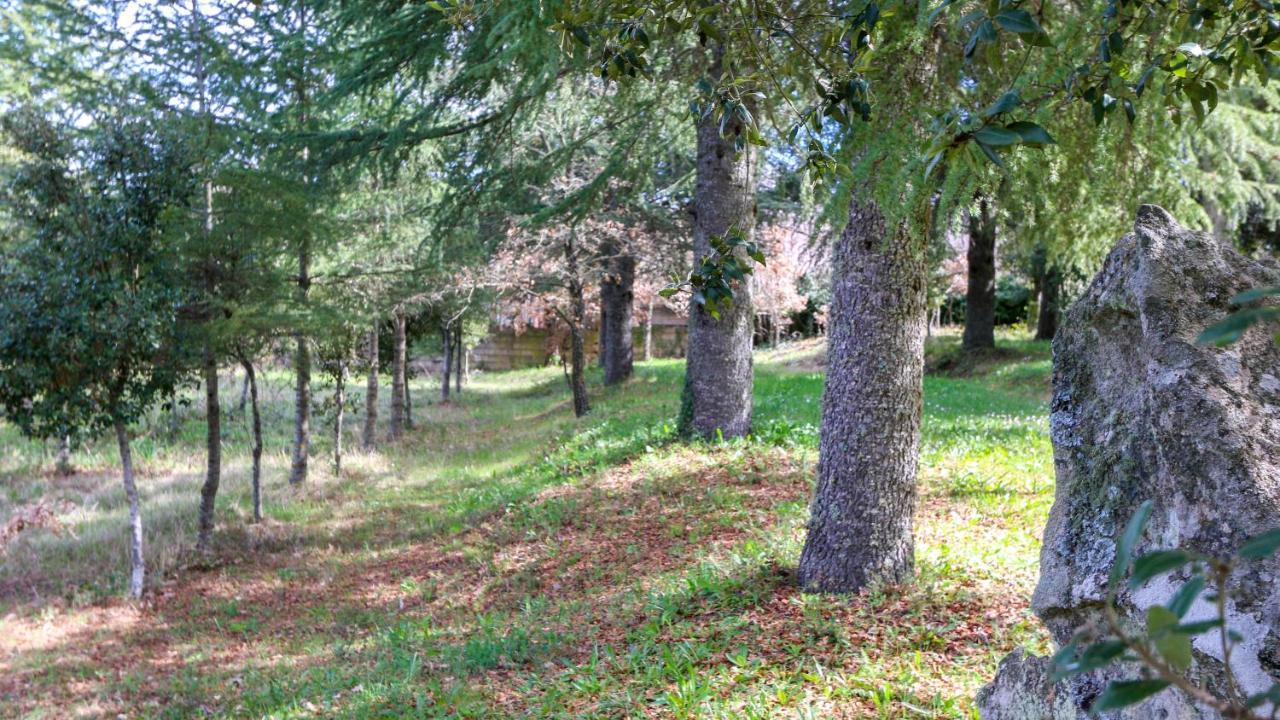 Welcomely - Country House Perda E Testa Villa Mamoiada Exterior photo